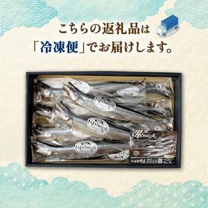 北海道産 さんま のいちばんぼし★ 10尾 干しさんま サンマ 秋刀魚 干物 北海道 海の幸 海鮮 F4F-5952