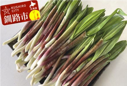 釧路産・天然 鮮度そのまま行者にんにく  100g×2
