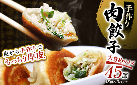 肉餃子45個(15個×3) 冷凍餃子 ギョーザ ぎょうざ 中華 簡単調理 小分け 冷凍食品 焼くだけ 惣菜 冷凍 肉 豚肉 F4F-4046
