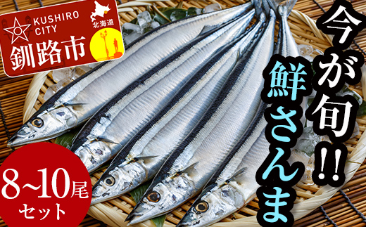 今が旬!!（鮮度抜群!!釧路産） 鮮さんま 8～10尾 さんま 秋刀魚 サンマ 新鮮 魚 鮮魚 海産物 旬 産地直送 北海道 釧路 F4F-0606