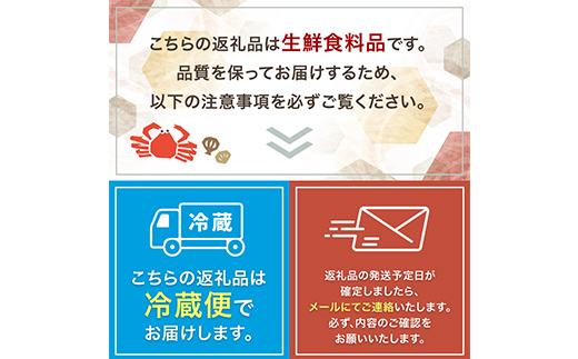 【北海道産・極上・列盛】えぞバフンうに贅沢食べ比べセット（折2枚・塩水1枚） 北海道 釧路 ふるさと納税 うに 雲丹 魚介類 海産物 高級 贈答用 豪華 F4F-0638