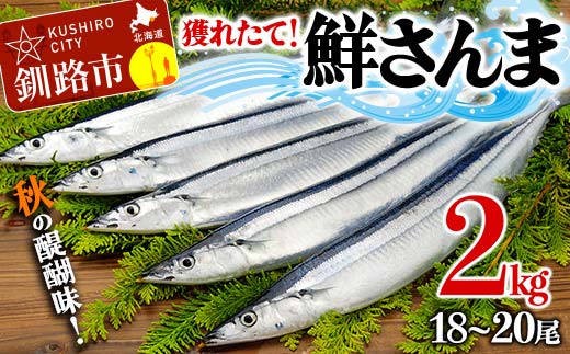 獲れたて鮮さんま 2kg （18～20尾）さんま 秋刀魚 サンマ 新鮮 魚 鮮魚 海産物 旬 北海道 釧路 2kg F4F-3229