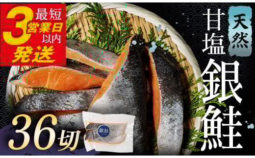 銀鮭 3切×12パック 計36切れ 朝ごはんやお弁当に 銀鮭 36切れ 真空保存 甘塩 銀鮭 鮭 しゃけ サケ さけ ご飯のお供 朝食 真空 朝食 お弁当 おかず 小分け 大容量 F4F-2843