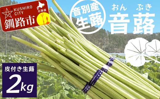 【6月中に順次発送】音蕗(おんぶき) 2kg 無農薬 蕗 フキ ふき 煮しめ 和食 おかず ご飯のお供 音別産生蕗 北海道産 北海道 F4F-4562