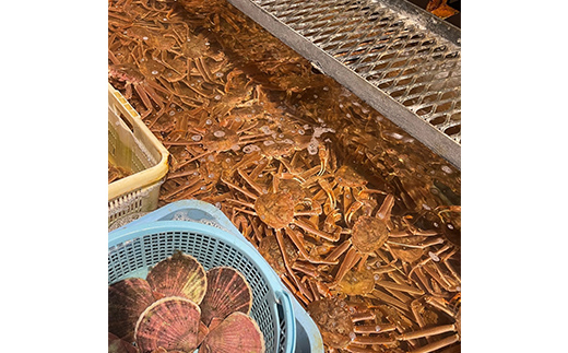 (èš³ãã)åæµ·éç£ã»å€§ããããã«(ãã€ã«å·å) 3ïœ7å°Ÿ ã«ã ãºã¯ã€ã¬ã è¹ æ¥è¹ ãããã¬ã ãããè¹ å·å ãã€ã« æµ·ç£ç© F4F-8029