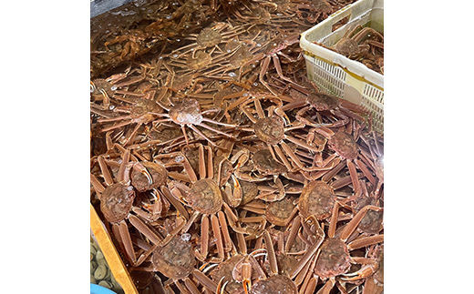 (èš³ãã)åæµ·éç£ã»å€§ããããã«(ãã€ã«å·å) 3ïœ7å°Ÿ ã«ã ãºã¯ã€ã¬ã è¹ æ¥è¹ ãããã¬ã ãããè¹ å·å ãã€ã« æµ·ç£ç© F4F-8029