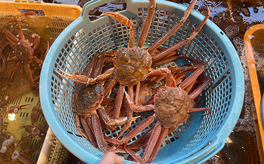 (èš³ãã)åæµ·éç£ã»å€§ããããã«(ãã€ã«å·å) 3ïœ7å°Ÿ ã«ã ãºã¯ã€ã¬ã è¹ æ¥è¹ ãããã¬ã ãããè¹ å·å ãã€ã« æµ·ç£ç© F4F-8029