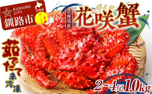 【茹でたて未冷凍】北海道産・ボイル花咲蟹2～4尾で1.0kg かに カニ 花咲ガニ 釧路 海鮮 F4F-4789