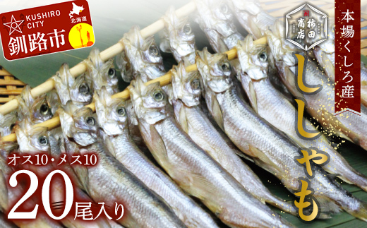 本場くしろ産 ししゃもオス・メス20尾入り！ 本ししゃも 魚 ししゃも 魚好きのオス プチプチたまごのメス 魚介 グルメ シシャモ 北海道産 国産 魚 魚介 海の幸 F4F-4790