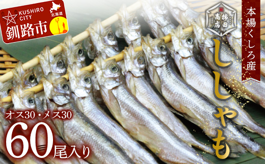 本場くしろ産 ししゃもオス・メス60尾入り！ 本ししゃも 魚 ししゃも 魚好きのオス プチプチたまごのメス 魚介 グルメ シシャモ 北海道産 国産 魚 魚介 海の幸 F4F-4793