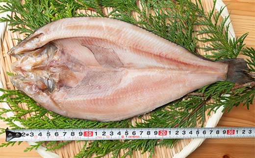 【北海道産】開き真ほっけ 3枚 ホッケ ほっけ 開き 海鮮 魚 北海道 国産 真空パック 贈答 ギフト 贈り物 お中元 御中元 人気 F4F-5086