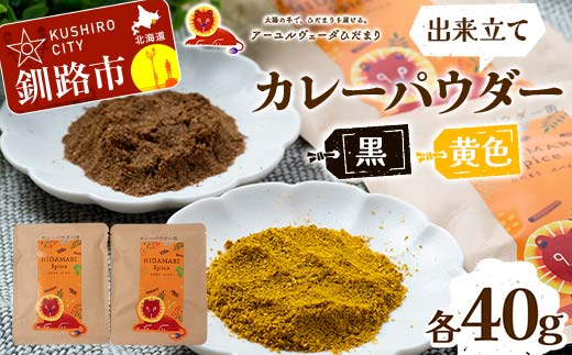 出来立てカレーパウダー 黒 黄色 各40g ローストパウダー イエローパウダー 本格的 スパイス 簡単 調味料 調理 おかず 本格 保存料不使用 化学調味料不使用 添加物不使用 F4F-5154