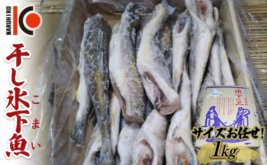 干し氷下魚(サイズお任せ)1kg こまい コマイ 魚 白身魚 おつまみ 肴 おかず F4F-5165