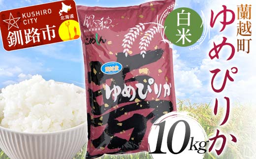 蘭越町産ゆめぴりか 10kg 白米 北海道産 米 コメ こめ お米 白米 玄米 通常発送 F4F-5887