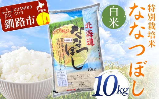 特別栽培米ななつぼし 10kg 白米 北海道産 米 コメ こめ お米 白米 玄米 通常発送 F4F-7019