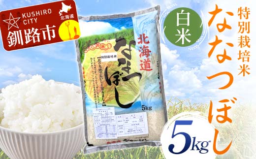 特別栽培米ななつぼし 5kg 白米 北海道産 米 コメ こめ お米 白米 玄米 通常発送 F4F-7045