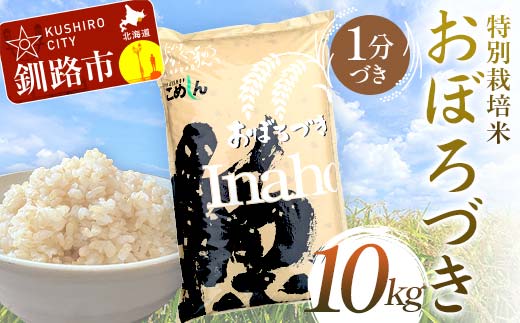 特別栽培米おぼろづき 10kg 1分づき 北海道産 米 コメ こめ お米 白米 玄米 通常発送 F4F-7084