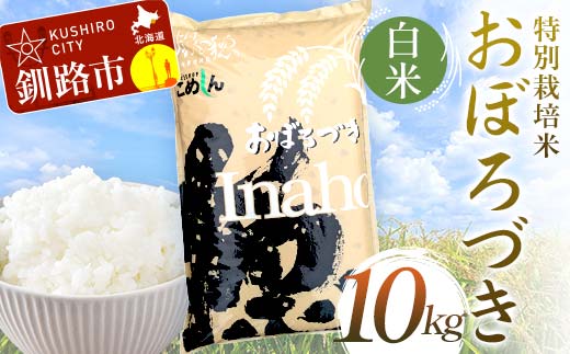 特別栽培米おぼろづき 10kg 白米 北海道産 米 コメ こめ お米 白米 玄米 通常発送 F4F-7097