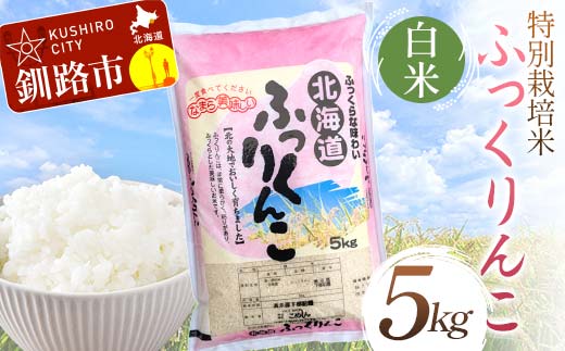 特別栽培米ふっくりんこ 5kg 白米 北海道産 米 コメ こめ お米 白米 玄米 通常発送 F4F-7201