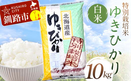 特別栽培米ゆきひかり 10kg 白米 北海道産 米 コメ こめ お米 白米 玄米 通常発送 F4F-7253