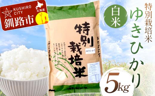 特別栽培米ゆきひかり 5kg 白米 北海道産 米 コメ こめ お米 白米 玄米 通常発送 F4F-7279