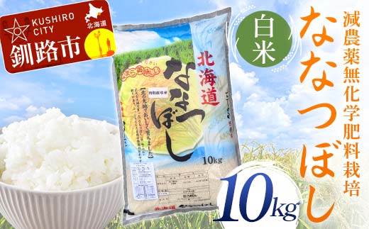 農薬9割減・化学肥料不使用ななつぼし 10kg 白米 北海道産 米 コメ こめ お米 白米 玄米 通常発送 F4F-7409