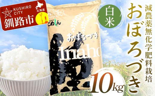 減農薬9割減 ・ 化学肥料不使用おぼろづき 10kg 白米 北海道産 米 コメ こめ お米 白米 玄米 通常発送 F4F-7487