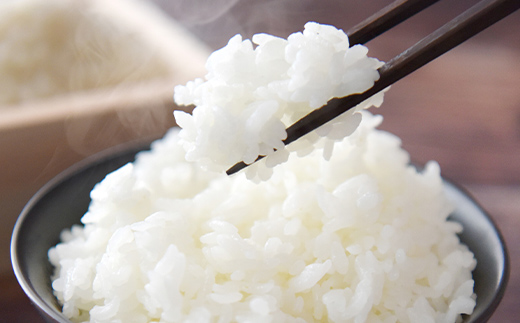 【期間限定！寄附額改定↓！】【3か月連続定期便】北海道 蘭越町産 ゆめぴりか 5kg 白米 北海道産 米 コメ こめ お米 白米 玄米 F4F-7951