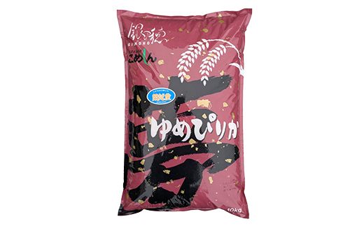 【期間限定！寄附額改定↓！】【3か月連続定期便】北海道 蘭越町産 ゆめぴりか 10kg 白米 北海道産 米 コメ こめ お米 白米 F4F-7953