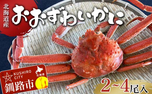 (茹でたて!!未冷凍!!)(訳あり)北海道産・おおずわいかに(茹でたて・未冷凍) 2～4尾入 カニ ズワイガニ 蟹 楚蟹 ずわいガニ ずわい蟹 冷蔵 ボイル 海産物 F4F-8030