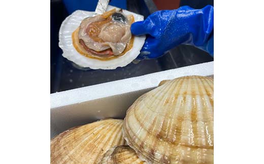 縲仙キ阡オ萓ソ縺ァ縺雁ア翫¢シ√代帙ち繝縺ョ雋晄浤 繧ェ繝シ繝繝シ蜑・縺 邏200g 鬲壻サ矩。 豬キ魄ョ 繝帙ち繝 蟶遶 F4F-8098