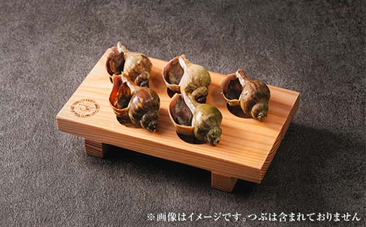 縲先悄髢馴剞螳夲シ∝ッ髯鬘肴隼螳壺難シ√代▽縺カ荳矩ァ 5蛟狗ゥエ 逶帑サ伜床 譛ィ陬ス 繧ォ繝ゥ繝槭ヤ 逶帑サ倡堊 縺、縺カ荳矩ァ 譛ィ逧ソ F4F-8183