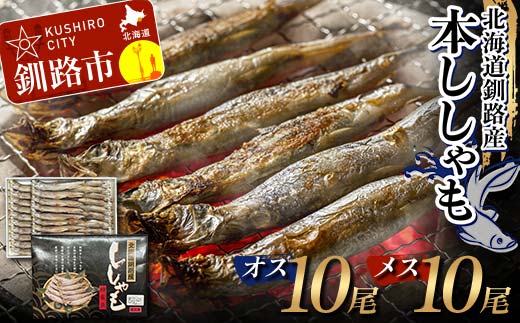 本ししゃも オス10尾・メス10尾 釧路産 本ししゃも 魚 ししゃも 魚好きのオス プチプチたまごのメス 魚介 グルメ シシャモ 北海道産 国産 魚 魚介 海の幸 F4F-8433