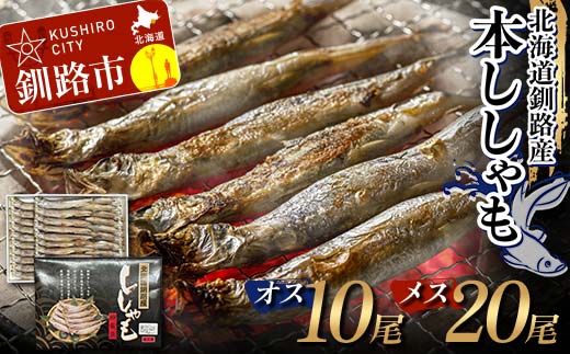 本ししゃも オス10尾・メス20尾 釧路産 本ししゃも 魚 ししゃも 魚好きのオス プチプチたまごのメス 魚介 グルメ シシャモ 北海道産 国産 魚 魚介 海の幸 F4F-8866
