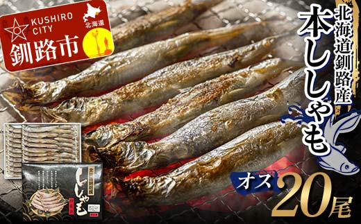 本ししゃも オス20尾 釧路産 本ししゃも 魚 ししゃも 魚好きのオス 魚介 グルメ シシャモ 北海道産 国産 魚 魚介 海の幸 F4F-8867