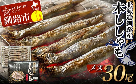本ししゃも メス30尾 釧路産 本ししゃも 魚 ししゃも プチプチたまごのメス 魚介 グルメ シシャモ 北海道産 国産 魚 魚介 海の幸 F4F-8868