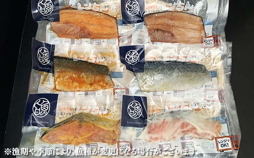 繝ャ繝ウ縺。繧灘菅貍ャ鬲6譫壹そ繝繝 縺サ縺」縺 縺輔ー 縺輔¢ 魄ュ 遘矩ョュ 隘ソ莠ャ貍ャ 邊墓シャ 驥ァ霍ッ 蛹玲オキ驕 F4F-8443