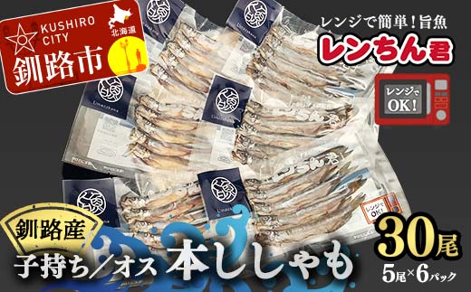 【期間限定！寄附額改定↓！】レンちん君釧路産本ししゃもセット シシャモ 冷凍 魚 海産物 一夜干し 北海道 F4F-8446