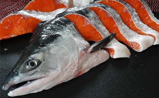 頭付き天然紅鮭 さけ 冷凍 魚 海の幸 簡単調理 サケ 海産物 北海道 F4F-8447
