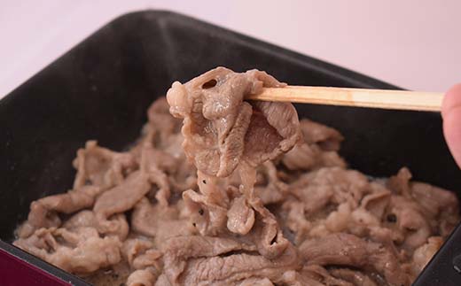 【期間限定！寄附額改定↓！】旨味ラムジンギスカン ねぎ塩 炭火風 600g（300g×2袋） ねぎ塩 炭火風 ラム ラム肉 ジンギスカン 焼肉 BBQ 肉 羊 厚切 生ラム 成吉思汗 北海道 ご当地 焼くだけ あいちょう あいちょう釧路 老舗 ご当地 ローカル スーパー 釧路 釧路市 人気 おいしい 美味しい うまい 道東 北海道 特選 F4F-8514