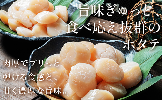 蛹玲オキ驕鍋肇 繝帙ち繝 荳ュ邊偵し繧、繧コ 300g 蜀キ蜃 迚ケ驕ク 雋晄浤 雋 蟶遶 繝帙ち繝 縺サ縺溘※ 豬キ魄ョ 繝槭Ν繧「髦ソ驛ィ蝠蠎 F4F-8580