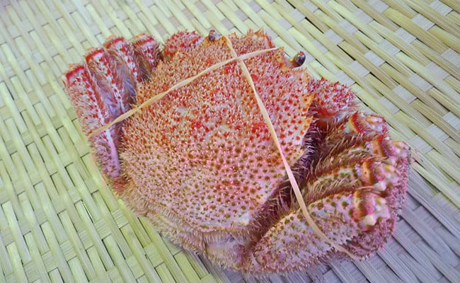 縺縺上i驢、豐ケ貍ャ縺90gテ1 繝懊う繝ォ豈帙′縺ォ380gス400g 縺オ繧九&縺ィ邏咲ィ 縺縺上i 縺九↓ F4F-8831