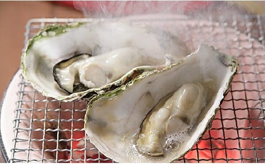 【期間限定！寄附額改定↓！】【ぷりっぷりで濃厚！】釧路管内産【活】牡蠣（小）12個 ふるさと納税 牡蠣 F4F-8911