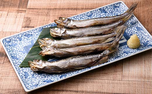 蛹玲オキ驕鍋肇 譛ャ縺励@繧繧ゆスソ逕ィ縲後Ξ繝ウ縺。繧灘菅縲阪@縺励c繧ゅが繧ケ繝サ繝。繧ケ繧サ繝繝 髮サ蟄舌Ξ繝ウ繧クOK 辟シ縺埼ュ 蜀キ蜃肴Ε闖 蛟句桁陬 譎ら洒 縺翫°縺 繧ョ繝輔ヨ 蛹玲オキ驕薙げ繝ォ繝。 F4F-9232