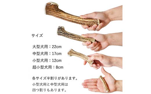 エゾ鹿の角ガム 12cm 小型犬用 半割り 2個 北海道産 国産 無添加 犬用ガム 天然鹿角 長持ち デンタルケア ペット おやつ F5F-0057