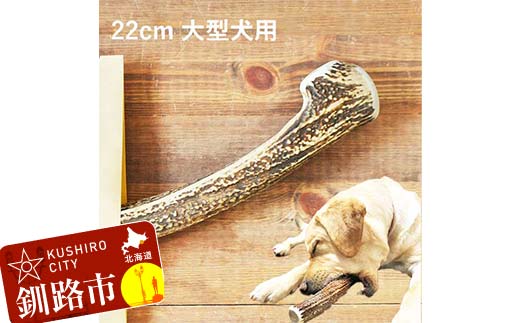 エゾ鹿の角ガム 22cm 大型犬用 北海道産 国産 無添加 犬用ガム 天然鹿角 長持ち デンタルケア ペット おやつ F5F-0066