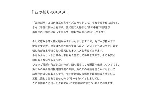 エゾ鹿の角ガム 17cm 中型犬用 四つ割り 4個 北海道産 国産 無添加 犬用ガム 天然鹿角 長持ち デンタルケア ペット おやつ F5F-0071