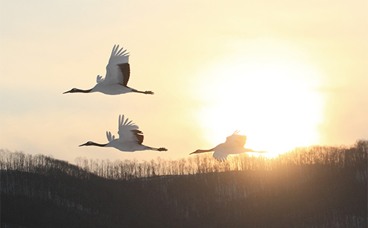 【期間限定！寄附額改定↓！】【北海道釧路市】長期滞在向け 長期滞在物件 割引券 10,000円分 移住 二拠点 生活 ワーケーション チケット マンション 釧路 道東 避暑 花粉ゼロ ちょっと暮らし 観光 体験 F5F-0088