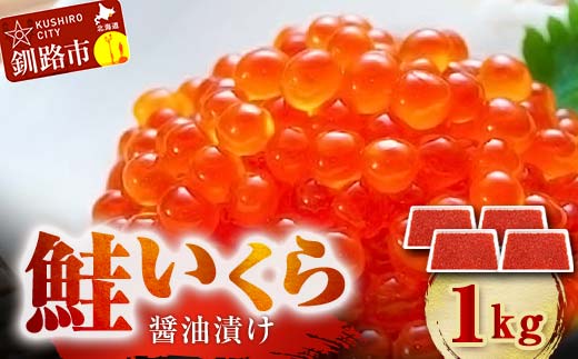 鮭 いくら 醤油漬け 250g×4パック（アメリカ産） 計1kg 北海道 釧路 ふるさと納税 いくら イクラ 丼 ごはんのお供 魚介類 海鮮 魚卵 海産物 F5F-0100