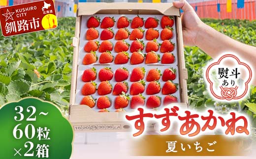 【期間限定！寄附額改定↓！】＜無地熨斗あり＞ 2026年先行予約 北海道産いちご すずあかね 32～60粒×2箱 【2026年6月末から順次発送】 夏いちご イチゴ 苺 フルーツ 果物 ジャム スイーツ 贈答用 ギフト 国産 北海道 釧路市 いちご F5F-0107